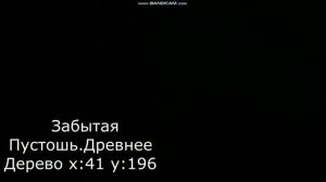 Token-путешествующий дракон.Глава 6.Star Stable Online