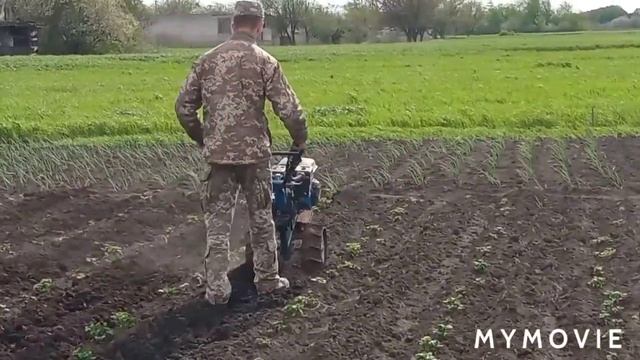 прополка картофеля и боронование тыквы смотреть онлайн