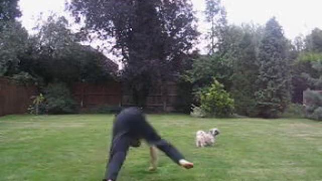 Capoeira Training смотреть онлайн