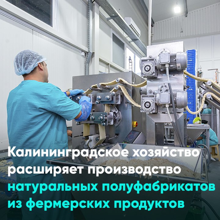 Калининградское хозяйство расширяет производство натуральных полуфабрикатов из фермерских продуктов