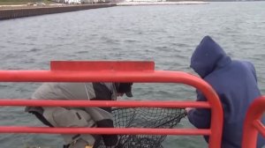 Public Fishing Milwaukee Harbor