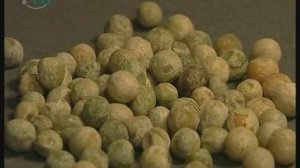 Общая биология. Независимое наследование