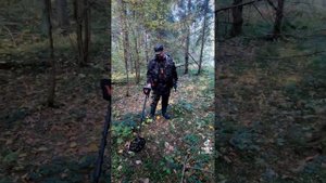 Поисковые исследования на базе рузского партизанского отряда 30.09.2023