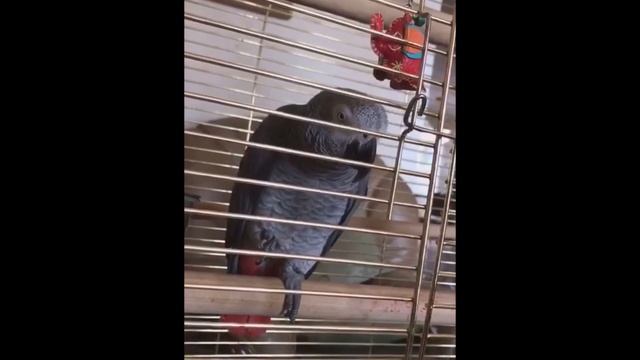 На дачу поедем, Жора? смотреть онлайн