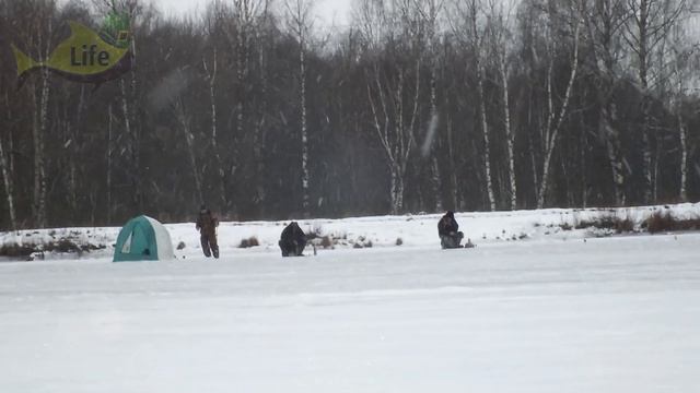 Пойдешь в такую погоду наловить мешок окуня зимой! При какой погоде зимой окунь ХОРОШО ЛОВИТСЯ?