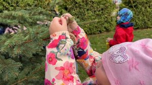 Кормушки для птиц