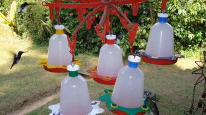 50 Идей Для Сада из ПЛАСТИКОВЫХ Бутылок! Вы Не Видели Еще Такого