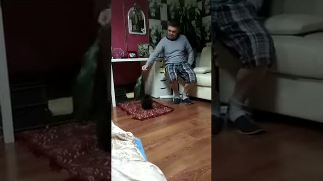 Кролик Степан своего не отдаст смотреть онлайн