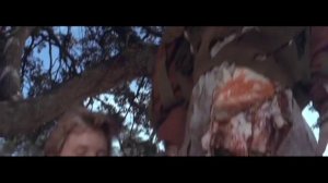 Корень Мандрагоры или Вот такая вот романтика.