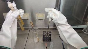 Техника посева микроорганизмов на косой агар с пробирки на пробирку