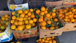 Рынок Абхазии зимой: Идем и тратим деньги. Мандарины, гранаты, киви, вяленая хурма - всё в изобилии