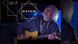 Геша Ушивец – Шалом (Сингл 2021)