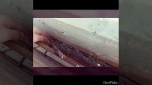 часть # 2 как собрать опалубку под армопояс( сейсмопояс)