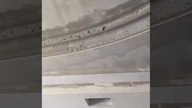 Потолок в зале , декор , лепнина смотреть онлайн