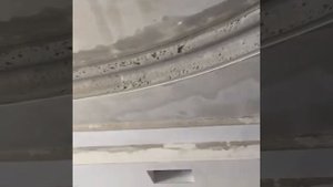 Потолок в зале , декор , лепнина