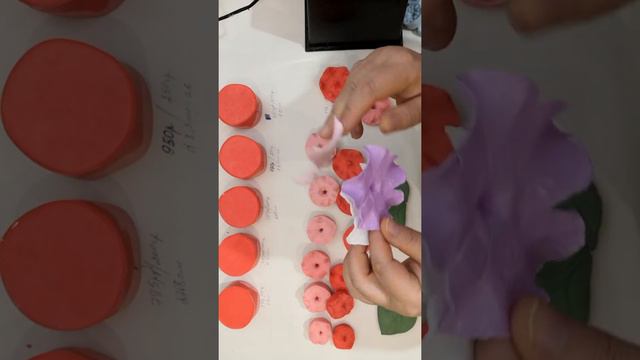 ДОЛГОЖДАННАЯ НОВИНКА ГОТОВА  Полный обзор молдов и вайнеров для петунии.