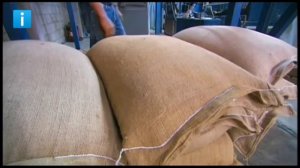 Как выращивают и производят кофе?