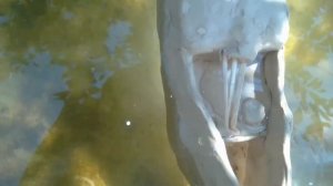 ? КРУШЕНИЕ КОРАБЛЯ "КАРТОПЛЯНИКА" ИЗ ПЛАСТИЛИНА ?