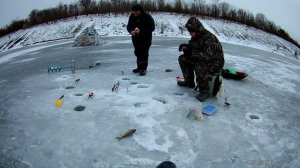 ЛОВЛЯ КАРПА,И КАРАСЯ ЗИМОЙ НА ПЛАТНОМ ПРУДУ