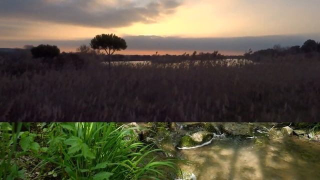 Отец Абсолют Призвание смотреть онлайн