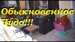 Находки на свалке! Если это не чудеса, тогда что?!