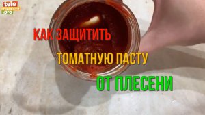 Как хранить томатную пасту, чтобы не было плесени