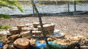 The Golden Crown Hotel & SPA 4* Colva