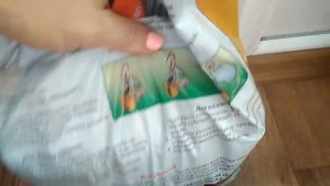 Стефанотис ☺Уход за ним ?