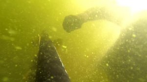 ИЮЛЬСКИЙ МАРАФОН !!!