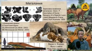 Занятие "Доисторическая Австралия" кружка "Динозавры и не только" с Ярославом Поповым