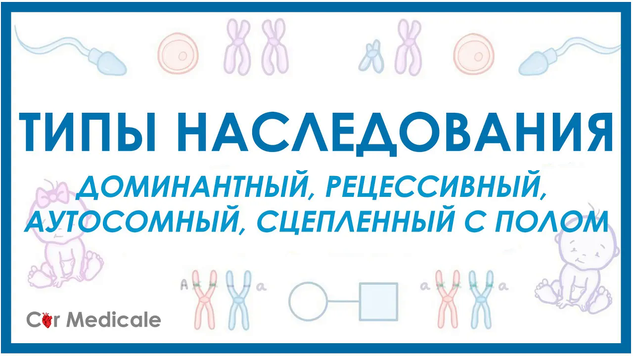 Типы наследования: доминантный, рецессивный, аутосомный, сцепленный с полом