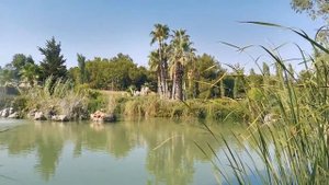 Где погулять в Анталии? Парк Ататюрк! Достопримечательности.