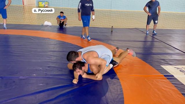 Сборы российских олимпийцев в Приморье завершены смотреть онлайн