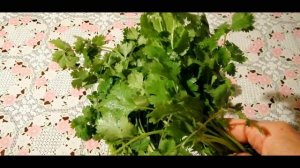 ☝?КИНЗА. УНИКАЛЬНЫЕ ЛЕЧЕБНЫЕ СВОЙСТВА. ПОЛЬЗА КИНЗЫ ДЛЯ ЗДОРОВЬЯ МУЖЧИН И ЖЕНЩИН