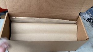 Как мы отправляем садовые башмачки в цветущем виде