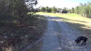 Весенний поход ч2. Заброшенные деревни Одесдино и Лач. Река Ижма. Одиночный поход. Покинутые места