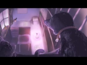 Когда вокруг куча котов — это хорошо.