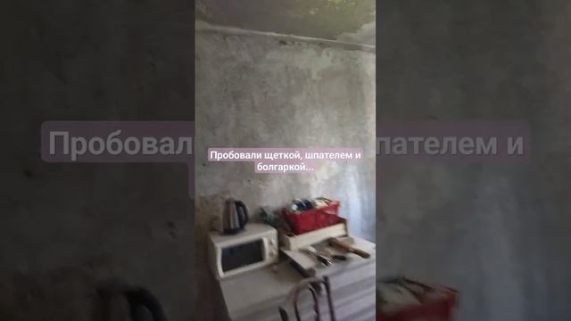 Делаем ремонт сами! Чем убрать старую краску со стен и побелку с потолка?