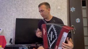 Гармонь Чайка м 204 (как у Игоря Растеряева)