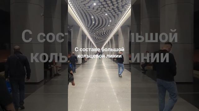 Одна из самых красивых новых станций метро Москвы - из искусственного камня! Воронцовская