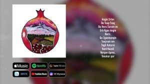 Hrach Barsegyan - Angin Srtov  | Armenian music | Հայկական երաժշտություն