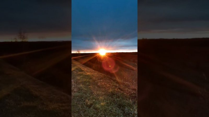 Sunset near Borskoye on November 2023 #путешествие  #борское