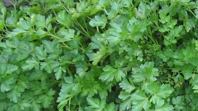 100 процентный способ замедлить старение! Продукты замедляющие старение