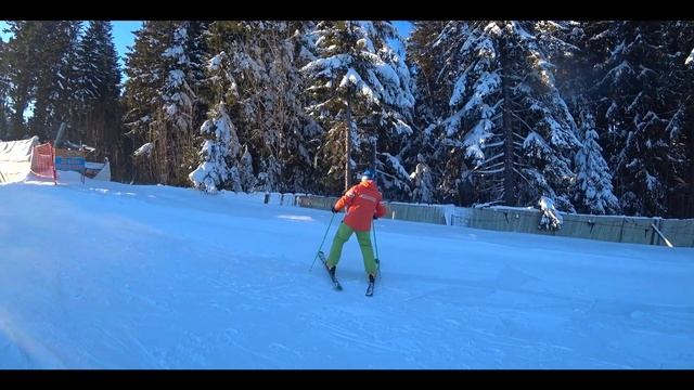ОБУЧЕНИЕ ГОРНЫМ ЛЫЖАМ С НУЛЯ | СНЕЖНАЯ АКАДЕМИЯ