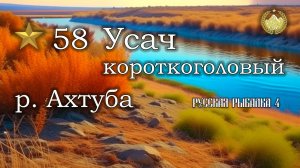 ✮ р. Ахтуба ✮ Трофейный Усач короткоголовый ✮