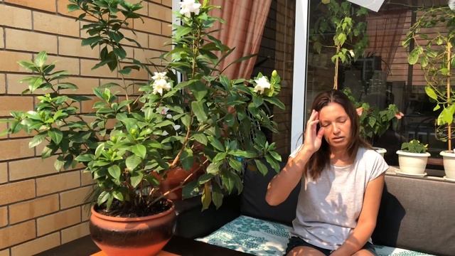 ГАРДЕНИЯ ВСЕ ОБ УХОДЕ | ОТ ПОКУПКИ ДО БОЛЬШОГО КУСТИКА смотреть онлайн