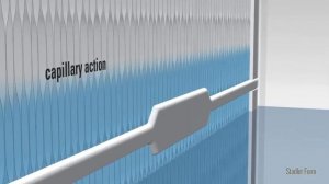 Oskar by Stadler Form
