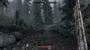 ДНЕВНОЙ СТИМ ПО SKYRIM!!