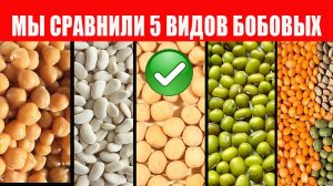 Выживание. Часть 2. Бобовые культуры. Закупка Продуктов И Запас Продуктов