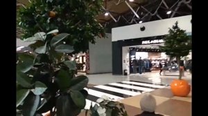 Аэропорт Шереметьево